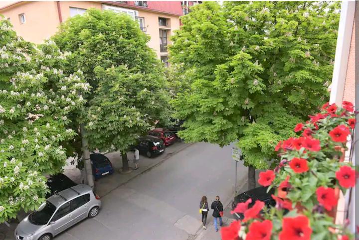 Milica Apartments Szkopje Kültér fotó